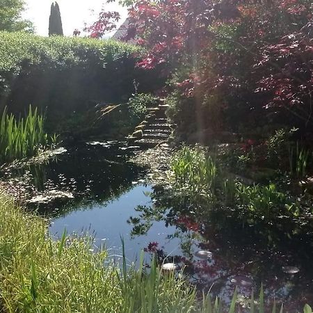 Ruhige Ferienwohnung Im Hunsrueck Hungenroth エクステリア 写真