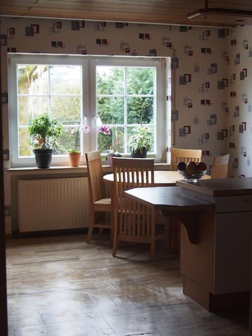 Ruhige Ferienwohnung Im Hunsrueck Hungenroth エクステリア 写真